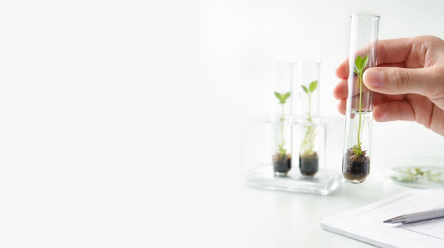 Contenuti scientifici