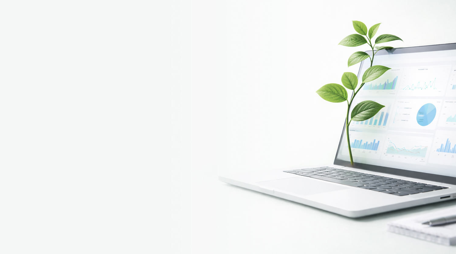 Strumenti per la rete